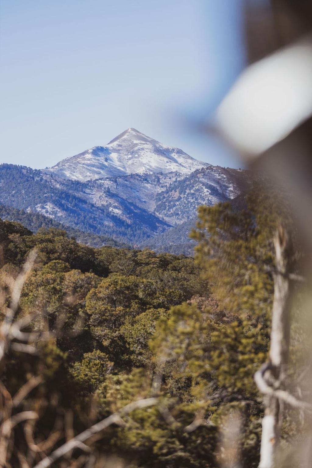 Zia Geo Dome At El Mistico Ranch, Glamping Nogal Exterior foto